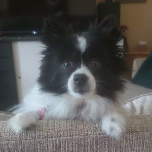 Meet your Posher, Lindsey